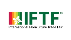 iftf logo